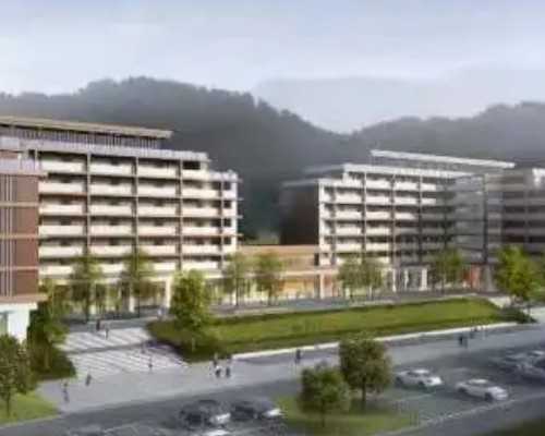 试管助孕：胚胎移植后次日能否乘坐飞机？专家解析与安全建议