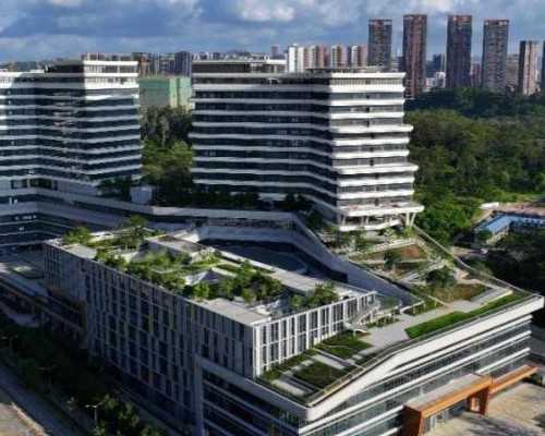 怀孕的最初征兆会腰酸么？怎么缓解？