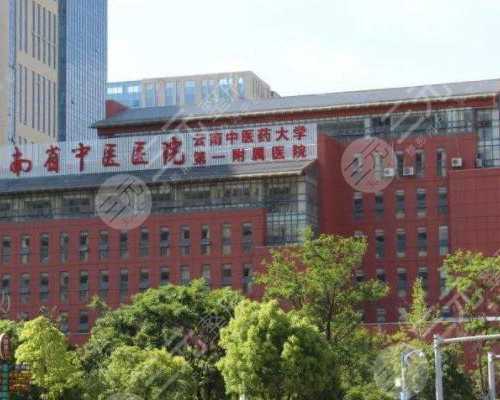 海外试管生子揭秘:流程与成功率全解析