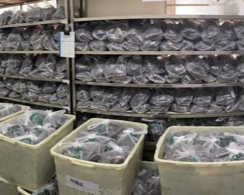 温州代怀哪家成功率高？2026年温州试管助孕费用及明细解析