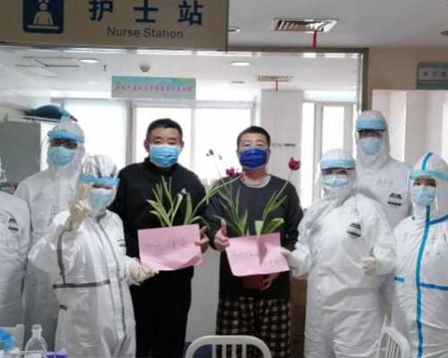 温州代怀借卵助孕：温州医院试管婴儿技术解析与最佳选择