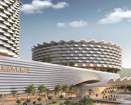 探究165代码的奥秘及其在助孕领域的应用