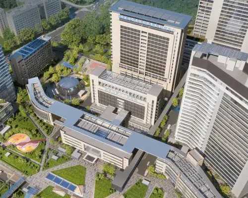 孕早期保健秘诀：为宝宝健康成长奠定坚实基础