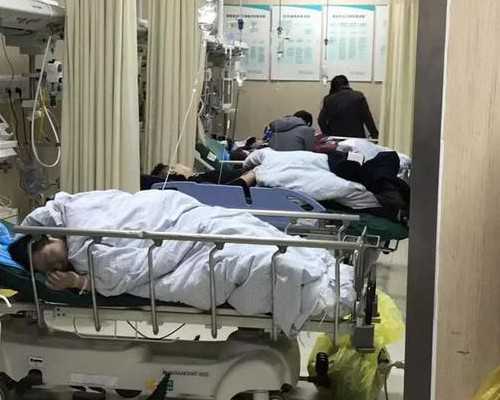 泰国试管婴儿胚胎冷冻与解冻：质量与成功率的关系探究