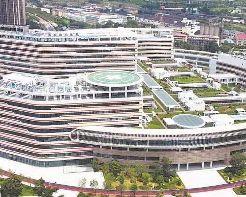 促进多卵泡发育与控制排卵时机的关键