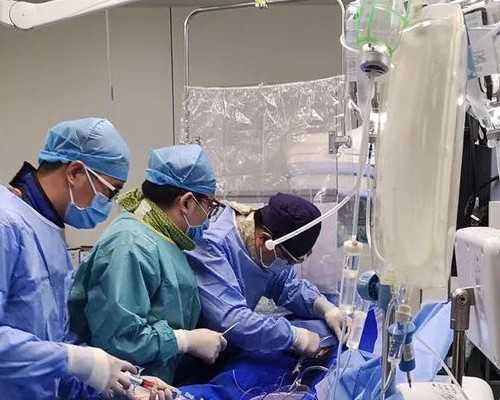 探究试管婴儿助孕的取精时机与备孕细节