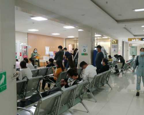 温州代孕生子公司,2026温州第三代试管婴儿医院排名一览?哪家医院胚胎移植成