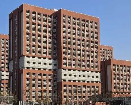 温州借卵助孕：女性无卵泡能否试管？解析免费孕前检查与助孕方案