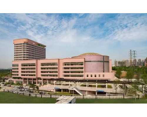 备孕期间饮食指南：解锁生男孩的秘诀与禁忌