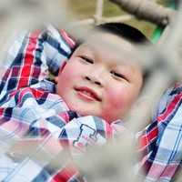 北京借卵试管婴儿 北京单独二胎实施时间 ‘孕妇胎囊形状看男女’