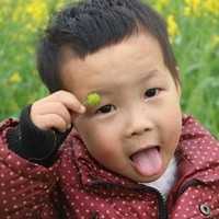 北京同性生孩子 卵巢早衰在北京协和做试管成功率高吗? ‘b超看男女图m’