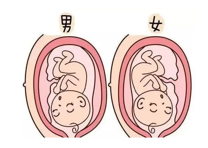 温州医院让捐卵 温州不孕不育去哪家医院好 ‘胎囊数据看男女准吗’